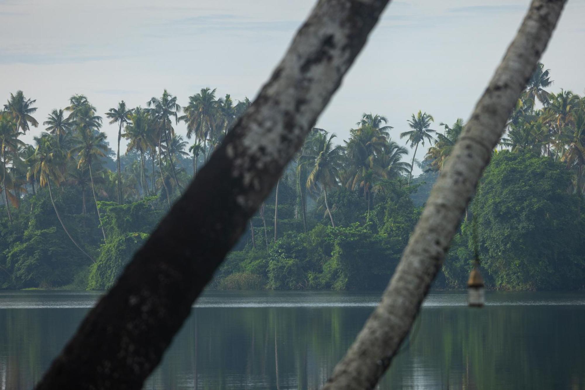Cranganor History Cafe & Riverside Chateau North Paravur Екстериор снимка